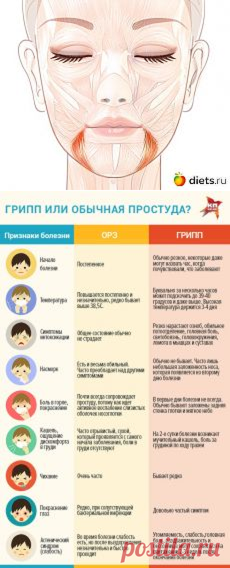 ❀ Вкусные рецепты мяса. Уголки рта. Вода из-под макарон. Грипп или простуда. Генетическая нищета. Для холодильника // Кусочек Постилы к чаю! - ladiginaelena@mail.ru - Почта Mail.Ru