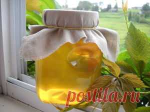 Медовые компрессы для взрослых и детей от кашля, и не только | Журнал Ярмарки Мастеров Медовые компрессы для взрослых и детей от кашля, и не только: – Журнал Ярмарки Мастеров о рукоделии, творчестве, дизайне. ✓Читай! ✓Узнавай! ✓Делись!