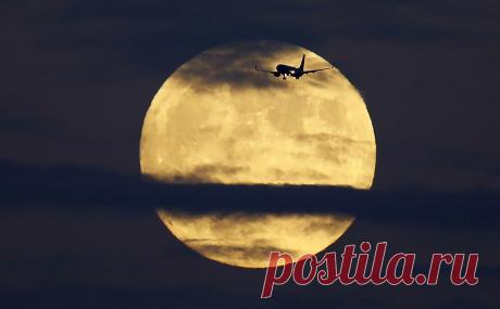 Бермуды частично отменили санкции против России. Бермудский авиарегулятор сможет выдавать разрешения на полеты самолетам, которые зарегистрированы на Бермудах, но эксплуатируются российскими авиаперевозчиками. Это сделано для облегчения репатриации воздушных судов