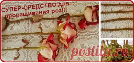 Умный дом | ВКонтакте