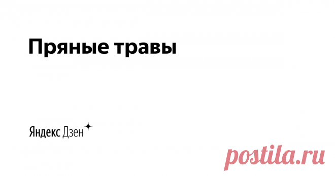 Пряные травы | Яндекс Дзен  Кулинарные хитрости и всякие плюшки, которыми хочется поделиться