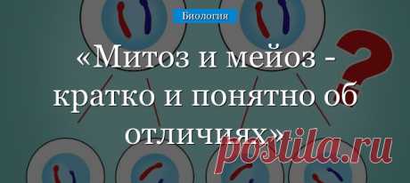 Митоз и мейоз &amp;#8211; кратко и понятно, сравнение отличий и сходств в таблице характеристик