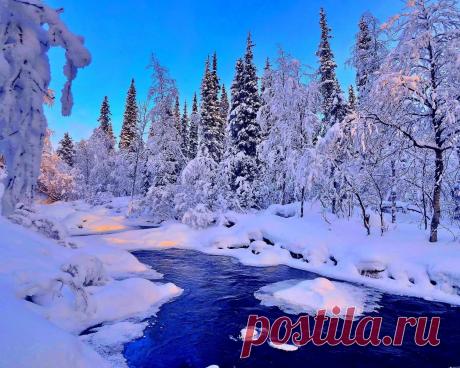 живую картинки на обложку зимние пейзажи: 11 тыс изображений найдено в Яндекс.Картинках