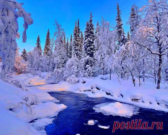 живую картинки на обложку зимние пейзажи: 11 тыс изображений найдено в Яндекс.Картинках