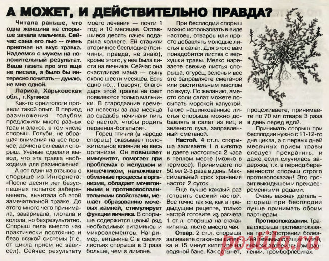 Горец птичий (спорыш)