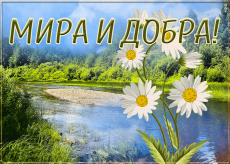 Открытка мира и добра