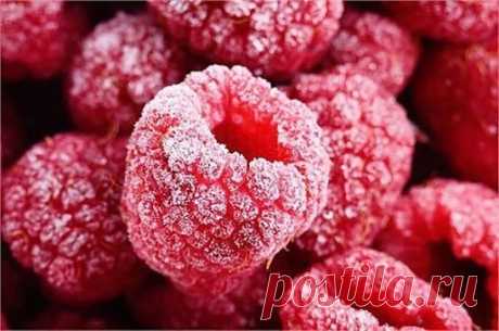 8 секретов замораживания овощей, фруктов и ягод 
 
Летом самое время заниматься заготовками на зиму. Замороженные в сезон созревания ягоды, фрукты и овощи сохраняют максимум пользы. Учимся правильно замораживать: абрикосы и сливы, малину и смородину, брокколи и кабачки, а также делать замороженное пюре и фруктовый лёд. 
 
Фрукты и ягоды 
 
1. Сохраняем всю пользу фруктов 
 
Абрикосы, персики, сливы — самые популярные обитатели морозильных камер. Если вы планируете заморозить эти плоды для пирого