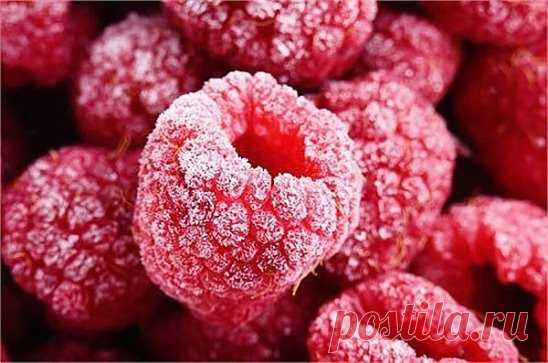 8 секретов замораживания овощей, фруктов и ягод 
 
Летом самое время заниматься заготовками на зиму. Замороженные в сезон созревания ягоды, фрукты и овощи сохраняют максимум пользы. Учимся правильно замораживать: абрикосы и сливы, малину и смородину, брокколи и кабачки, а также делать замороженное пюре и фруктовый лёд. 
 
Фрукты и ягоды 
 
1. Сохраняем всю пользу фруктов 
 
Абрикосы, персики, сливы — самые популярные обитатели морозильных камер. Если вы планируете заморозить эти плоды для пирого