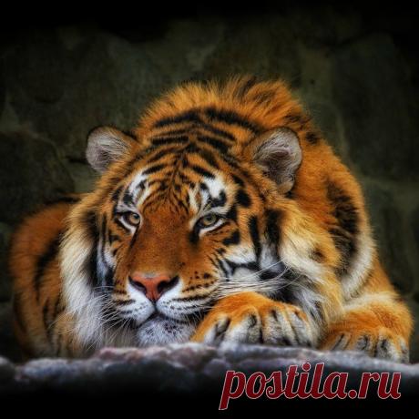 Мой Мир@Mail.Ru