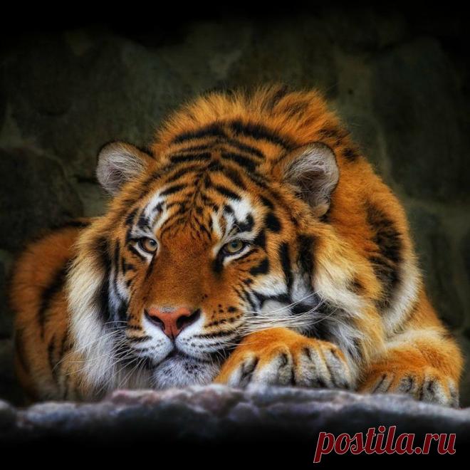 Мой Мир@Mail.Ru