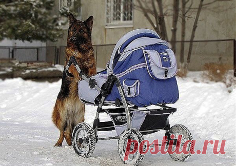 Мой Мир@Mail.Ru