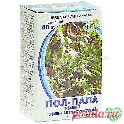 Пол-пала – хирург без скальпеля
Без преувеличения можно сказать: пол-пола спо­собна заменить целую аптеку. Эта трава является мощ­ным стимулятором солевого обмена в организме. Ле­чит и подагру, и полиартрит. Как солевыводящее сред­ство применяется при пиелонефрите, мочекаменной болезни, циститах. Способствует снятию воспалитель­ного процесса мочевыводящих путей и мочевого пузы­ря, в придатках, в почечных лоханках (пиелит), проста­те (простатит).
Отвар пол-полы является сил...