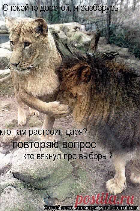 Q.jpg (Изображение JPEG, 467 × 700 пикселов) - Масштабированное (80%)
