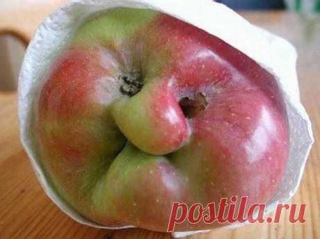 Фотографии на стене сообщества | 32 783 фотографии