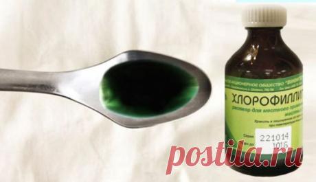 «Хлорофиллипт»: цена вопроса — копейки! 15 проверенных временем рецептов. - 11 Декабря 2018 - Наша Планета