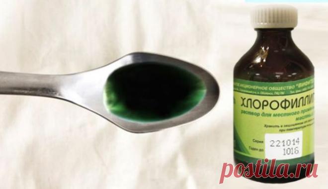 «Хлорофиллипт»: цена вопроса — копейки! 15 проверенных временем рецептов. - 11 Декабря 2018 - Наша Планета