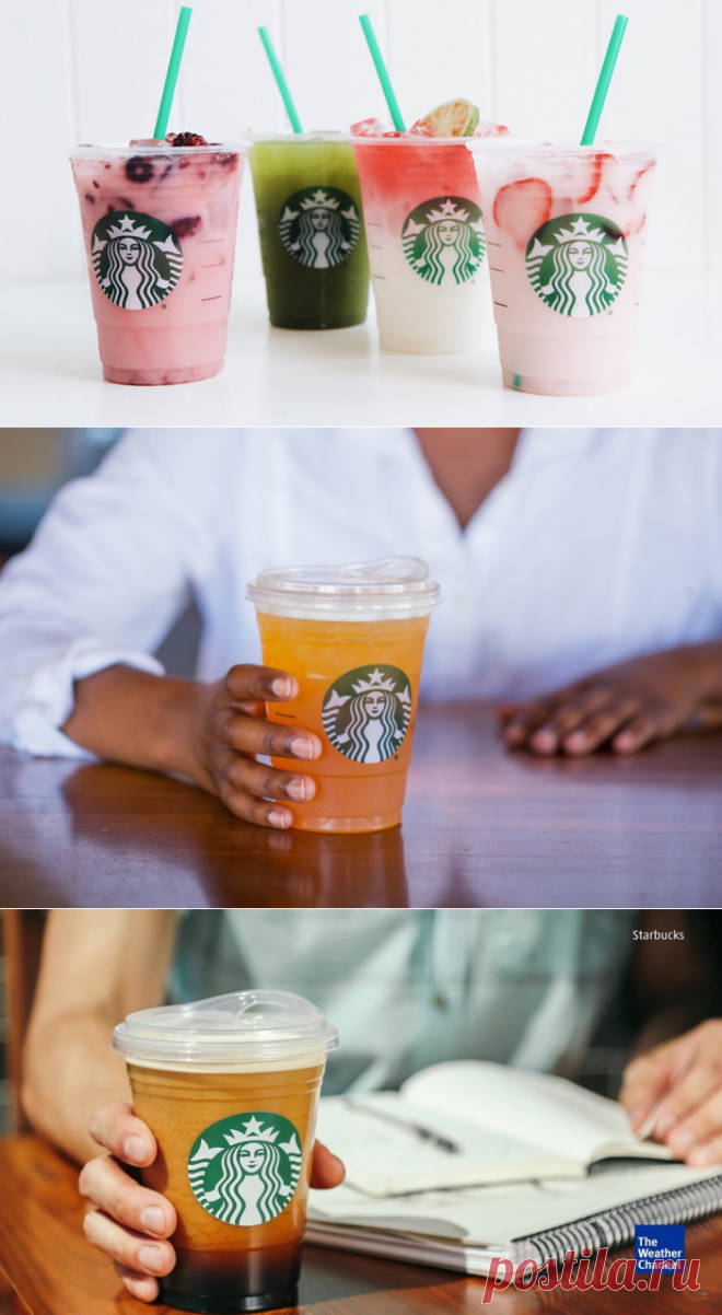 Starbucks отказывается от пластиковых трубочек - Экологический дайджест FacePla.net
