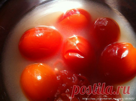 Бабушкины помидорчики с чесночком: попробовав ЭТИ, вы никогда не будете есть другие!.
