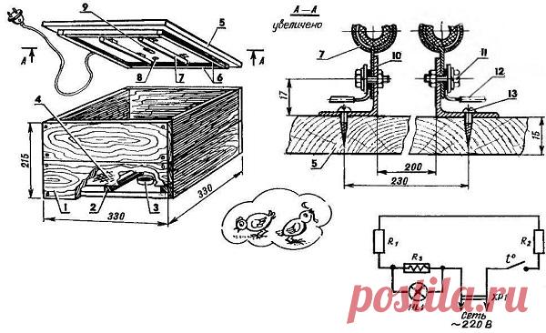 Инкубация перепелиных яиц - оптимальный режим и температура, фото. Жми!