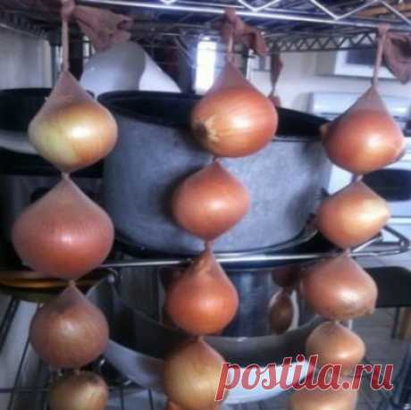 Маленькие хитрости для продления срока хранения продуктов