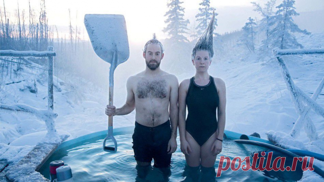 Моржи с Аляски