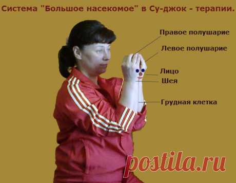 Лечебная гимнастика при эпилепсии ставит цель уравновесить процессы возбуждения и торможения в головном мозге, обеспечить нормальный физиологичный тонус мышц.  Применим и Су-джок - терапию.