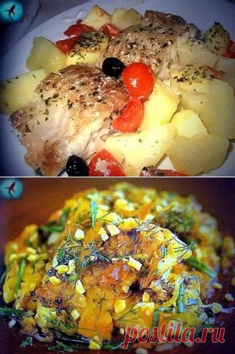 Блюда из акулы-катран.