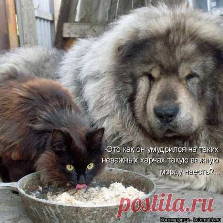 МУЧИТЕЛЬНЫЙ ВОПРОС...