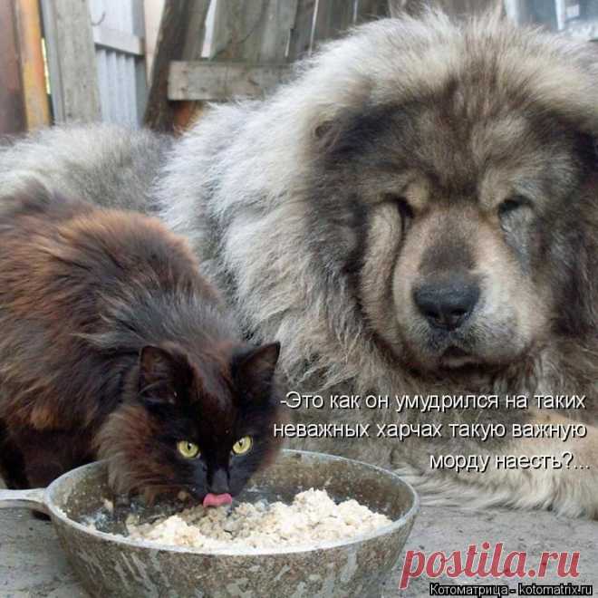 МУЧИТЕЛЬНЫЙ ВОПРОС...