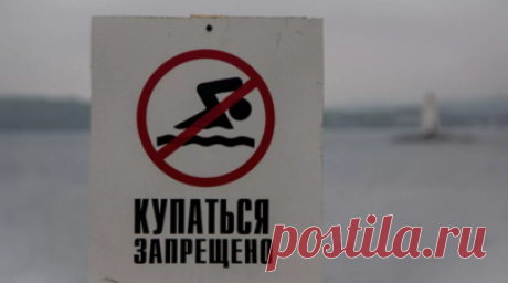 Власти Кубани просят оценить возможность исключения ряда пляжей Анапы из зоны ЧС. Губернатор Краснодарского края Вениамин Кондратьев обратился к вице-премьеру России Виталию Савельеву с просьбой рассмотреть возможность исключения из зоны ЧС и последующего открытия восьми пляжей Анапы в случае получения положительного заключения Роспотребнадзора. Читать далее