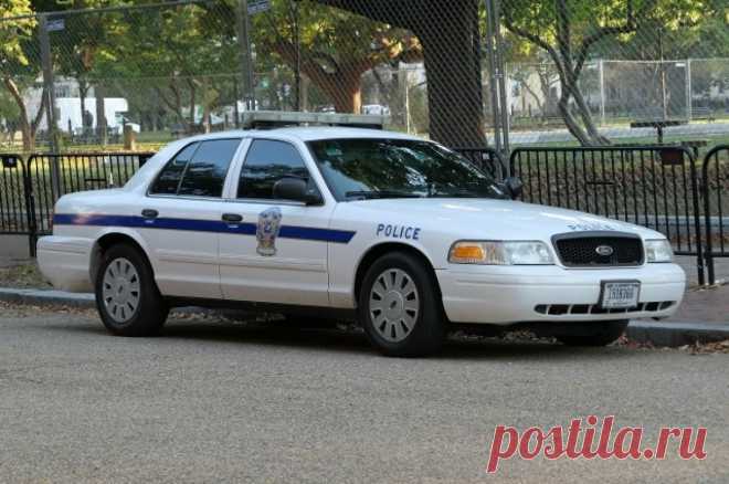 В США полиция больше часа гналась за автопогрузчиком с 12-летним угонщиком. В настоящее время школьник задержан.