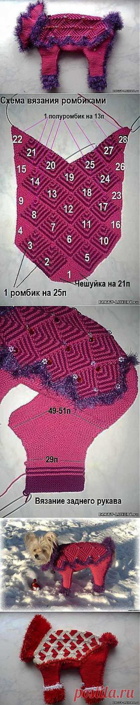 МК № 13 Вязание свитера и комбеза с застежкой по низу. - Шьем одежду для собак