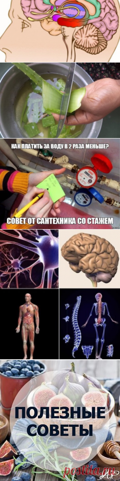 (1) Одноклассники