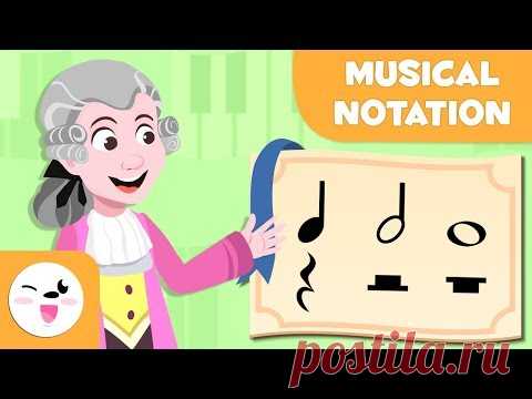 Musical Notation - Learning Music for Kids - The quarter note, the half note and the whole note
