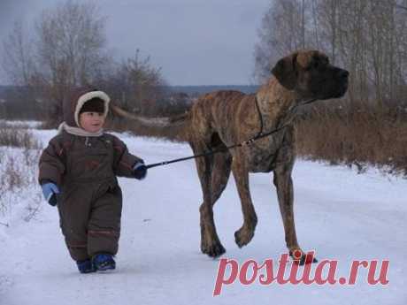 Дети и собаки: креативная фотосессия