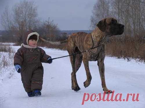Дети и собаки: креативная фотосессия