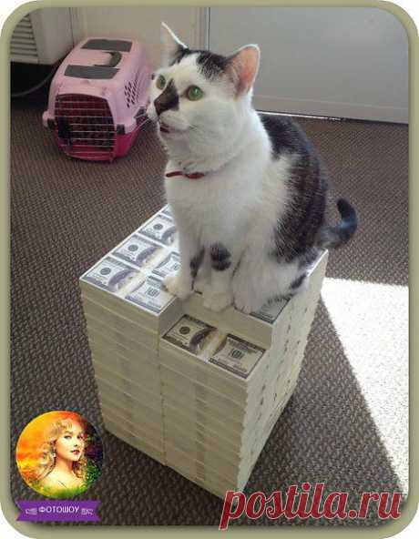 Интересные новости