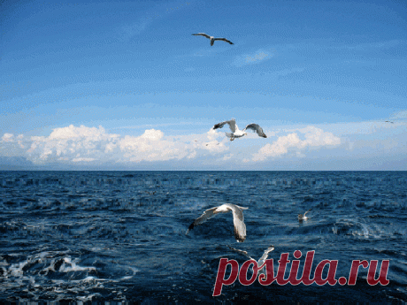 ТЫ ВОРВЁШЬСЯ-- СЛОВНО ЛУЧИК ЗОЛОТОЙ ! ! ! ~ Плэйкасты ~ Beesona.Ru