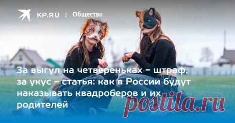 10-10-24--КВАДРОБЕРЫ--За выгул на ЧЕТВЕРЕНЬКАХ - ШТРАФ ОТ 1.000 ДО 5.000 РУБ, за укус - СТАТЬЯ: как в России будут наказывать квадроберов и их родителей.