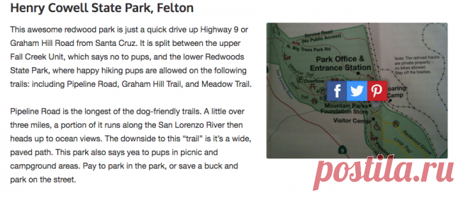 Where Can You Legally Take Your Dog in Santa Cruz? Here are 40 Spots.