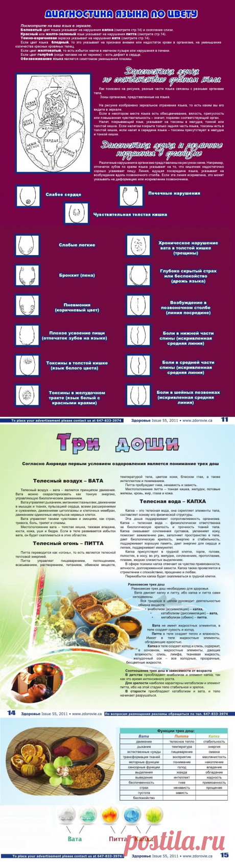 Диагностика по языку. Три доши