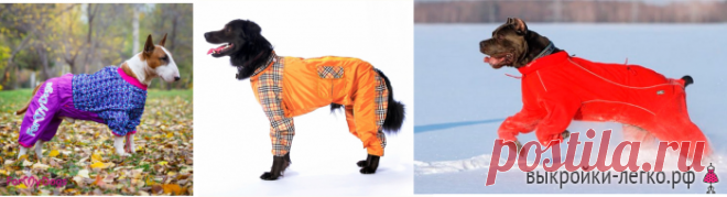 Базовая выкройка для собак | Готовые выкройки и уроки по построению на Выкройки-Легко.рф