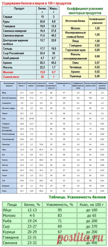 В каких именно продуктах содержится много белка