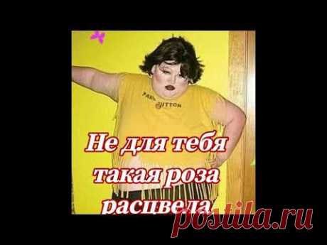 Юмор. Ах, Одесса... Одесские анекдоты.Позитив для настроения. Веселая открытка для настроения.