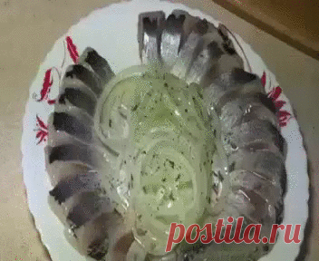 селедка молосольная