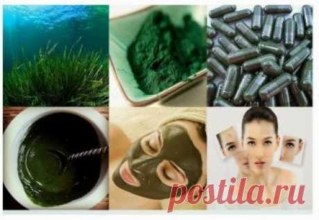 СПИРУЛИНА
Это многофункциональное универсальное средство!
ДЛЯ ЛИЦА:
ОЧИЩЕНИЕ
- 2 столовые ложки любой косметической глины (белая, голубая, желтая, розовая, гассул, мултани митти)
- 1-2 чайные ложки сухого порошка спирулины
- 1 чайная ложка активированного угля (растолочь таблетки),
- 2-3 чайные ложки глицерина,
- вода (лучше холодная кипяченая).
Смешайте глину, спирулину, уголь и глицерин и разбавьте все водой до состояния густого крема.
Нанесите толстым слоем на треб...