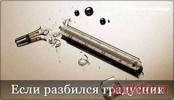 (90) Одноклассники