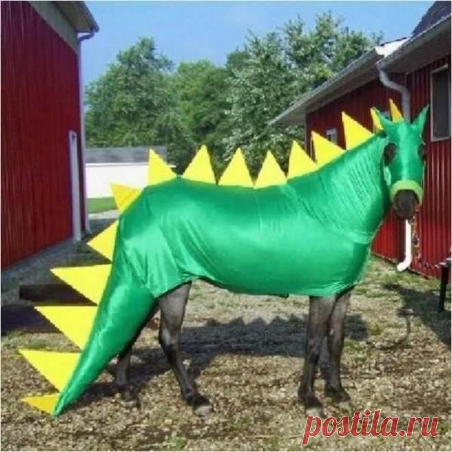 Эти веселые животные. Часть 2