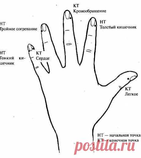 Всё о Хиромантии...Считывание информации по фотографии | Блог. Elisseeva LANAVIN | Группы Мой Мир