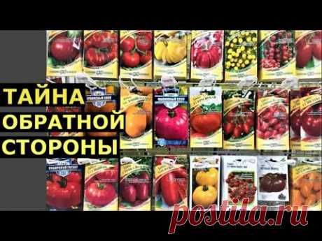 ь